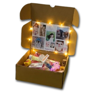 whatsapp image 2025 11 26 at 10.06.23 pm removebg preview